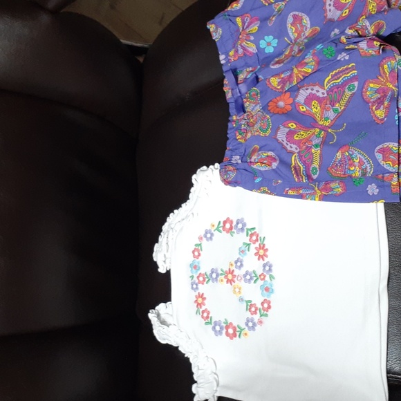 GYMBOREE 2 PC TOP N SHORTS NWT 2T or 3T - Picture 2 of 13